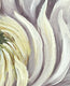 Original art for sale at UGallery.com | White Chrysanthemum by Pamela Hoke | $1,350 | oil painting | 24' h x 24' w | thumbnail 4