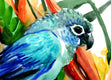 Original art for sale at UGallery.com | Sun Conure and Paradise Flowers, Tropics by Suren Nersisyan | $275 | watercolor painting | 11' h x 14' w | thumbnail 2
