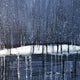 Original art for sale at UGallery.com | Night Rain by Pat Forbes | $3,400 | acrylic painting | 48' h x 48' w | thumbnail 4