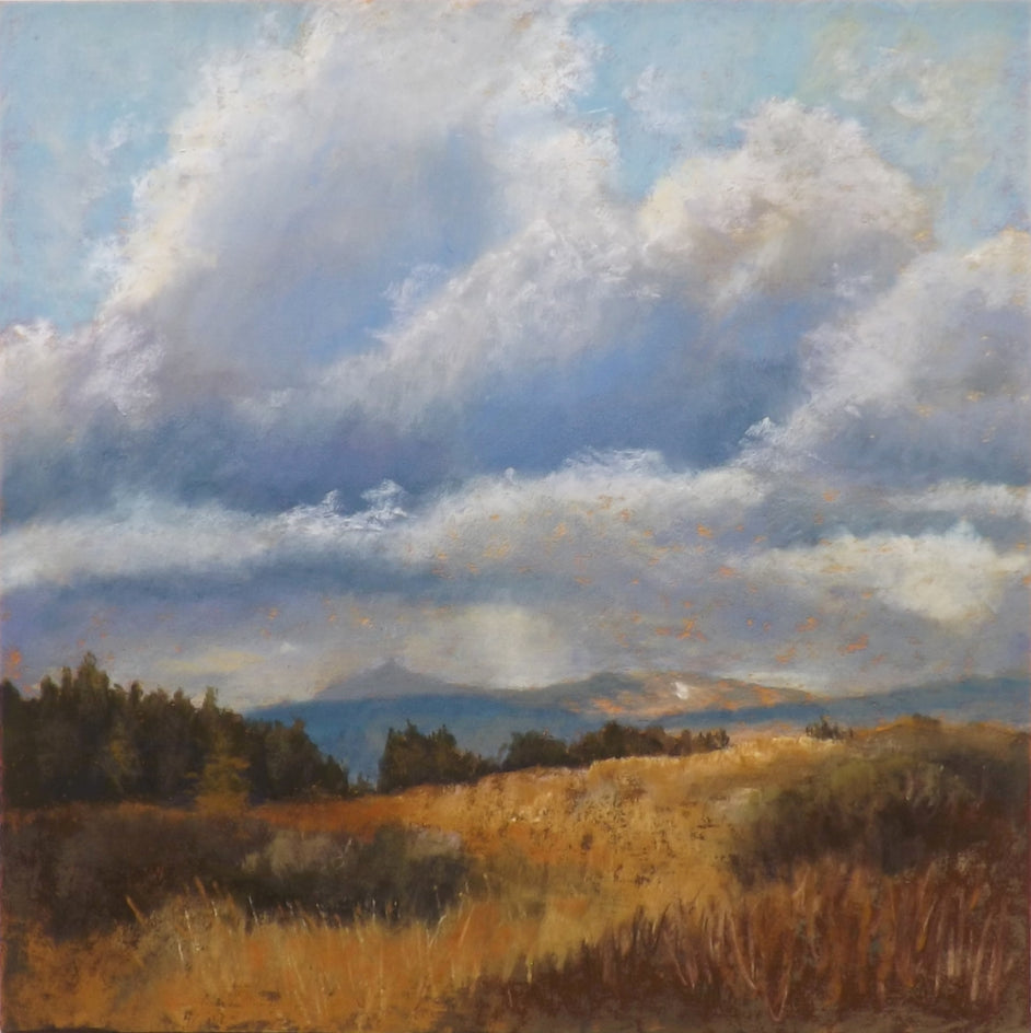 High Country Summer by Patricia Prendergast |  Side View of Artwork 