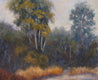 Original art for sale at UGallery.com | The Path through the Eucalyptus by Patricia Prendergast | $475 | pastel artwork | 14' h x 11' w | thumbnail 4