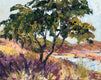 Original art for sale at UGallery.com | A Place of Peace by Paula Martino | $525 | oil painting | 11' h x 14' w | thumbnail 1