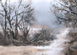 Original art for sale at UGallery.com | Winter Path by Jill Poyerd | $1,600 | oil painting | 18' h x 24' w | thumbnail 4