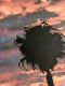 Original art for sale at UGallery.com | Red Sky by Jesse Aldana | $2,125 | oil painting | 24' h x 48' w | thumbnail 4