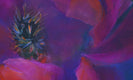 Original art for sale at UGallery.com | A Broad + Experiential Education by Ruth-Anne Siegel | $4,100 | acrylic painting | 48' h x 48' w | thumbnail 4