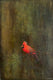 Original art for sale at UGallery.com | Intermediary by Sally Adams | $2,400 | acrylic painting | 36' h x 24' w | thumbnail 1