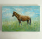 Original art for sale at UGallery.com | Island Pony by Sally Adams | $2,400 | acrylic painting | 24' h x 36' w | thumbnail 4