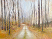 Original art for sale at UGallery.com | Northern Michigan Woods by Sally Adams | $5,100 | acrylic painting | 36' h x 48' w | thumbnail 1