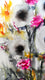 Original art for sale at UGallery.com | Dark Blooms IV by Karin Johannesson | $350 | watercolor painting | 14' h x 11' w | thumbnail 4