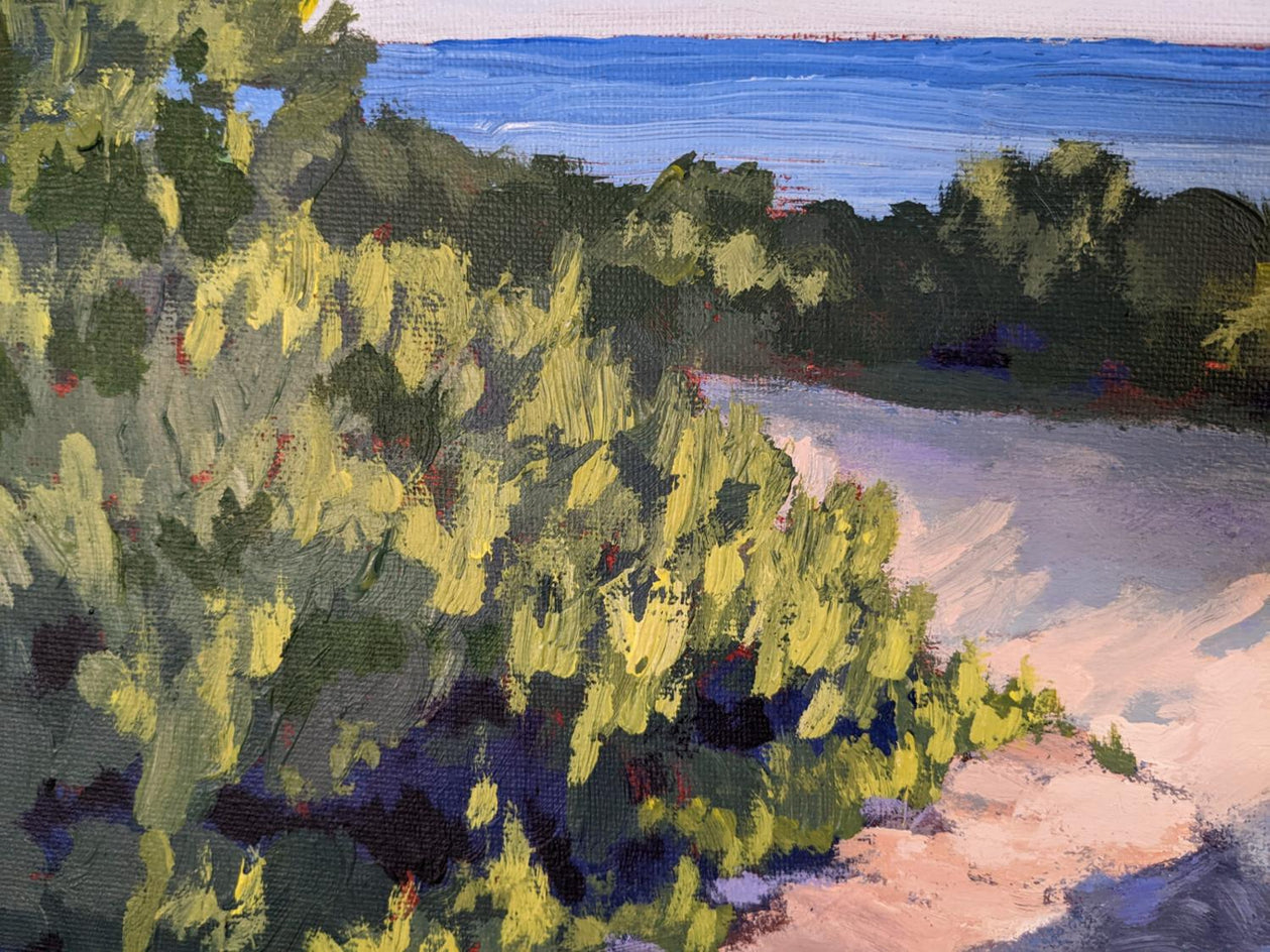 Golden Hour Stroll in Crystal Cove Cliffs by Samuel Pretorius |  Closeup View of Artwork 