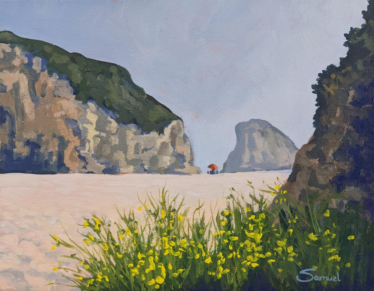 Shark Fin Rock, Santa Cruz, with a Burst of Yellow Flowers by Samuel Pretorius |  Artwork Main Image 