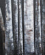 Original art for sale at UGallery.com | Seven Birch Trunks by Valerie Berkely | $450 | oil painting | 20' h x 16' w | thumbnail 1