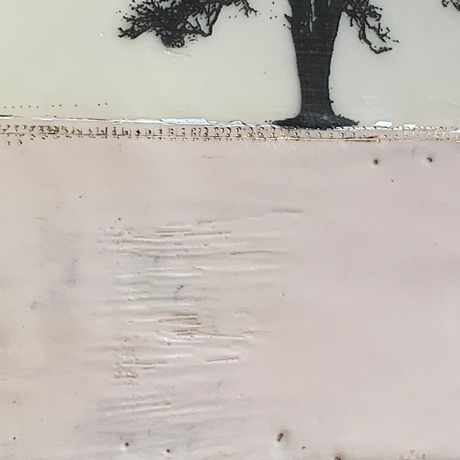 Pink and White Everlasting by Shari Lyon |  Closeup View of Artwork 