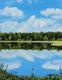 Original art for sale at UGallery.com | Reflections by Shela Goodman | $300 | oil painting | 14' h x 11' w | thumbnail 1