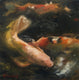 Original art for sale at UGallery.com | Koi by Sherri Aldawood | $525 | oil painting | 12' h x 12' w | thumbnail 1