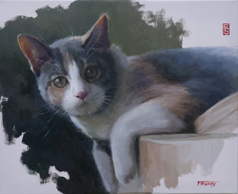 oil painting by Shuxing Fan titled Cat - Who Are You