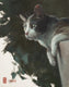 Original art for sale at UGallery.com | What's Going On by Shuxing Fan | $575 | oil painting | 14' h x 11' w | thumbnail 1