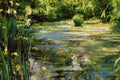 Original art for sale at UGallery.com | Unexpected View by Onelio Marrero | $1,800 | oil painting | 24' h x 30' w | thumbnail 4