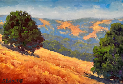 oil painting by Steven Guy Bilodeau titled Sonoma Study