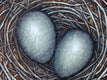 Original art for sale at UGallery.com | Study for Each Must Enter the Nest by Jennifer Ross | $275 | mixed media artwork | 6' h x 6' w | thumbnail 4