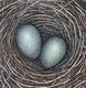 Original art for sale at UGallery.com | Study for Each Must Enter the Nest by Jennifer Ross | $275 | mixed media artwork | 6' h x 6' w | thumbnail 1