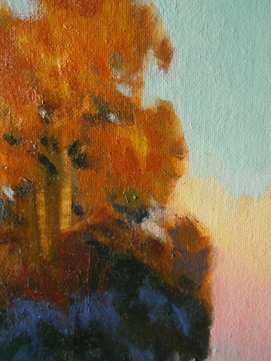 Sundown in Cypresswood by David Forks |   Closeup View of Artwork 