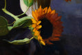 Original art for sale at UGallery.com | Sunflowers by Jonelle Summerfield | $500 | oil painting | 14' h x 11' w | thumbnail 4