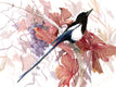 Original art for sale at UGallery.com | Magpie and Grape Vine, Fall by Suren Nersisyan | $325 | watercolor painting | 12' h x 16' w | thumbnail 1