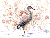 Original art for sale at UGallery.com | Sandhill Crane by Suren Nersisyan | $325 | watercolor painting | 12' h x 16' w | thumbnail 1