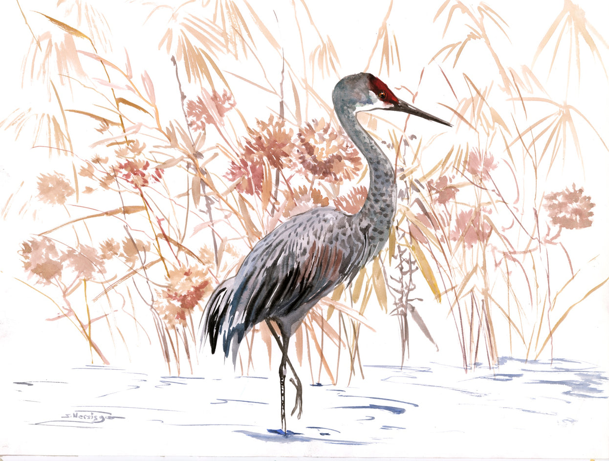 Sandhill Crane by Suren Nersisyan |  Artwork Main Image 