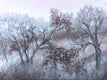 Original art for sale at UGallery.com | Frozen Oak Medley by Suzanne Massion | $575 | oil painting | 18' h x 24' w | thumbnail 1