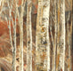 Original art for sale at UGallery.com | Hazelnut Trail by Tatiana Iliina | $750 | acrylic painting | 24' h x 18' w | thumbnail 4