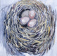 Original art for sale at UGallery.com | Triplets by Mary Pratt | $1,200 | oil painting | 24' h x 24' w | thumbnail 3