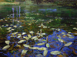Trumbull Lake Shallows by Onelio Marrero |  Artwork Main Image 