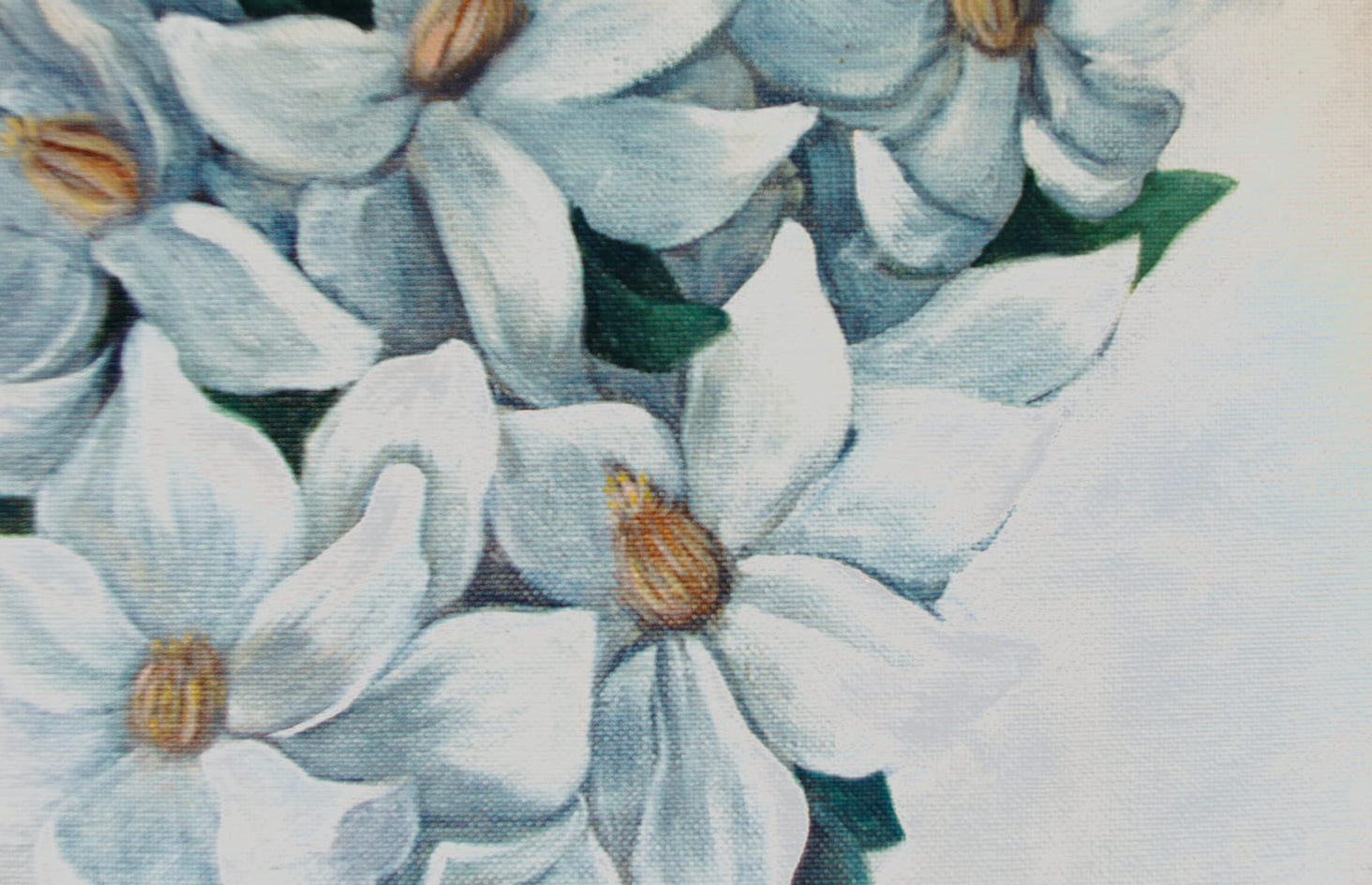 Magnolia by Agnieszka Potrzebnicka |  Closeup View of Artwork 