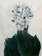 Original art for sale at UGallery.com | Magnolia by Agnieszka Potrzebnicka | $1,100 | oil painting | 26' h x 20' w | thumbnail 1