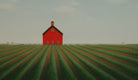 Original art for sale at UGallery.com | In the Summer Field by Sharon France | $2,225 | acrylic painting | 24' h x 36' w | thumbnail 2