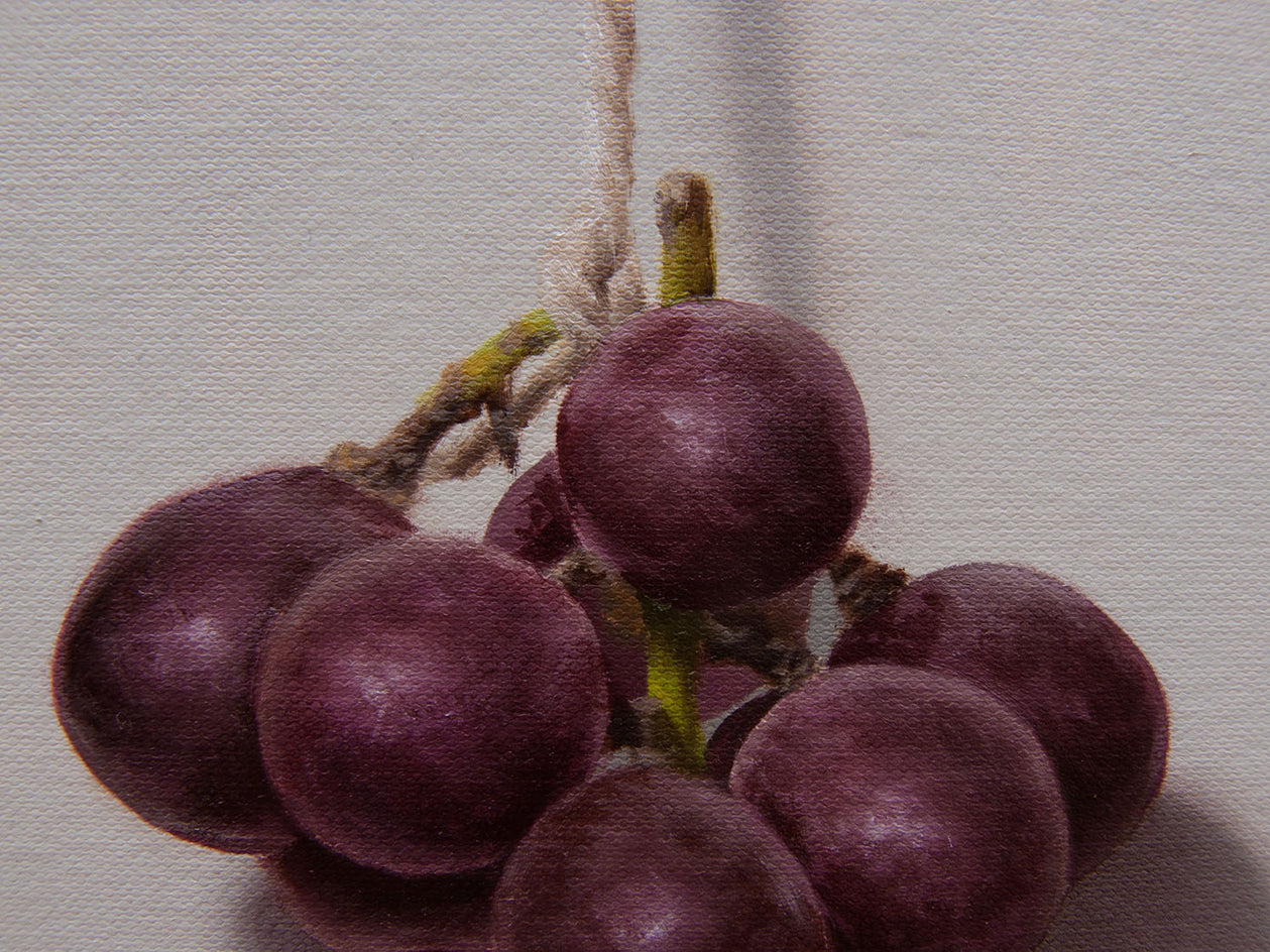 Grapes by Daniel Caro |  Closeup View of Artwork 