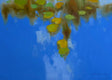 Original art for sale at UGallery.com | Pond of Lilies by Vahe Yeremyan | $2,700 | oil painting | 30' h x 45' w | thumbnail 3