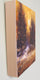 Original art for sale at UGallery.com | Golden Glow by Valerie Berkely | $275 | oil painting | 10' h x 8' w | thumbnail 2