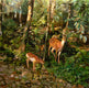 Original art for sale at UGallery.com | The Watchful Doe by Onelio Marrero | $2,350 | oil painting | 36' h x 36' w | thumbnail 1