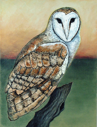 Wisdom Is Within - Barn Owl by Jennifer Ross |  Artwork Main Image 